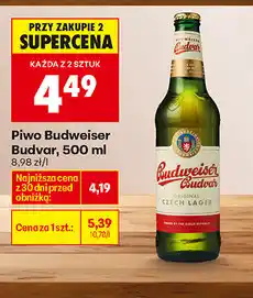 Biedronka Piwo Budweiser Budvar oferta