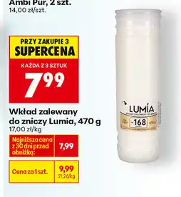 Biedronka Wkład zalewany do zniczy Lumia oferta