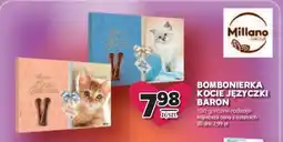 Stokrotka Market Bombonierka Kocie Języczki Baron oferta