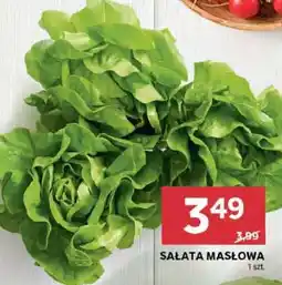 Stokrotka Market Sałata masłowa oferta