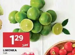 Stokrotka Market Limonka oferta