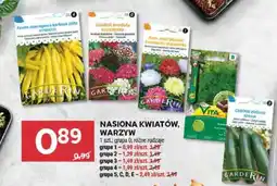 Stokrotka Market Nasiona kwiatów, warzyw oferta