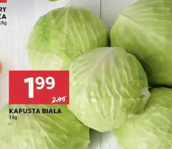 Stokrotka Market Kapusta biała oferta