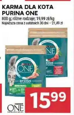 Stokrotka Market Karma dla kota Purina One oferta