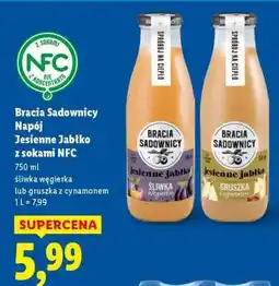 Lidl Bracia Sadownicy Napój jesienne jabłko z sokami NFC oferta