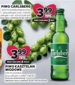 Stokrotka Market Piwo Carlsberg oferta