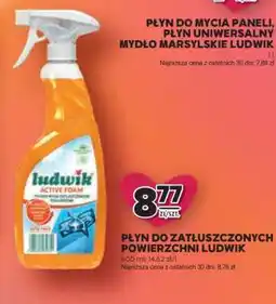 Stokrotka Market Płyn do Zatłuszczonych Powierzchni Ludwik oferta