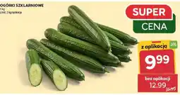 Stokrotka Market Ogórki szklarniowe oferta