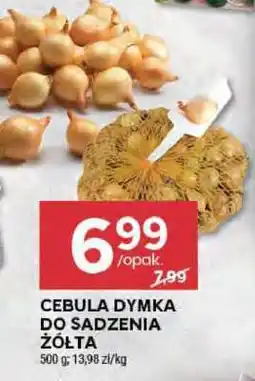 Stokrotka Market Cebula dymka do sadzenia żółta oferta
