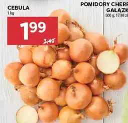 Stokrotka Market Cebula oferta