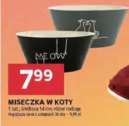 Stokrotka Market MISECZKA W KOTY oferta