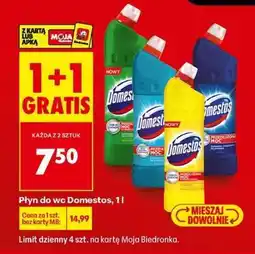Biedronka Płyn do WC Domestos 1 l oferta