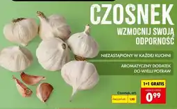 Biedronka Czosnek, szt oferta