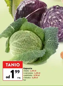 Intermarche Kapusta (biała, czerwona, pekińska, włoska) luz oferta