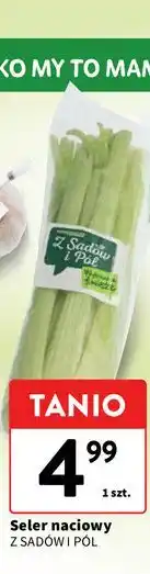 Intermarche Seler naciowy oferta