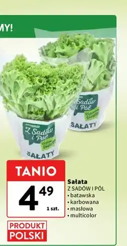 Intermarche Sałata (batawska, karbowana, masłowa, multicolor) oferta