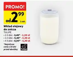 Intermarche Wkład olejowy do znicza TULIPE oferta