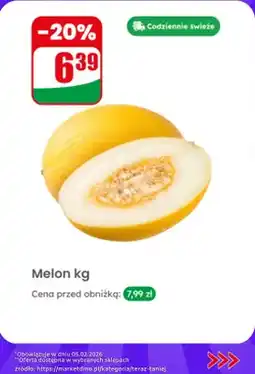 Dino Melon kg oferta