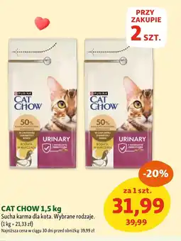 Maxi Zoo Karma dla kota Cat Chow oferta