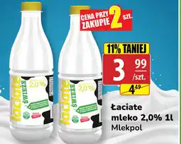 API MARKET Mleko Łaciate oferta