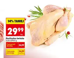 Biedronka Perliczka oferta