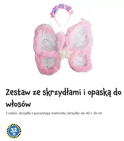 Tedi Zestaw ze skrzydłami i opaską do włosów oferta