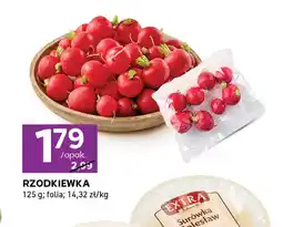 Stokrotka Express Rzodkiewki Folia oferta