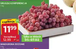 Stokrotka Express Winogrona oferta