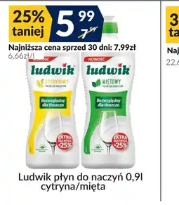 Sużyw Płyn do naczyń Ludwik oferta