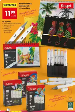 Biedronka Kolorowanka, szkicownik lub markery Kayet oferta