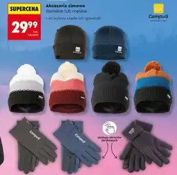 Biedronka Akcesoria zimowe damskie lub męskie (czapka lub rękawiczki) oferta