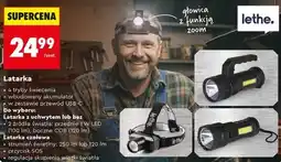 Biedronka Latarka (lethe.) oferta