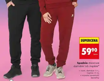 Spodnie dresowe damskie lub męskie