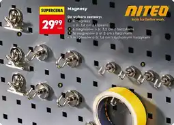 Biedronka Magnesy (zestawy do wyboru) oferta