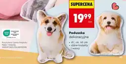 Biedronka Poduszka dekoracyjna (różne kształty i wzory) oferta