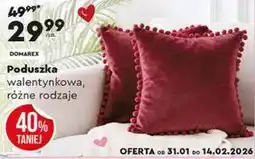 Biedronka Poduszka walentynkowa, różne rodzaje oferta