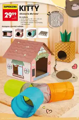 Biedronka Akcesoria dla kota (tunel, drapak 3D z kocimiętką, drapak płaski z kocimiętką i akcesoriami) oferta