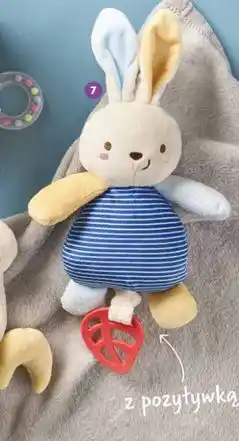 Biedronka Królik z pozytywką oferta