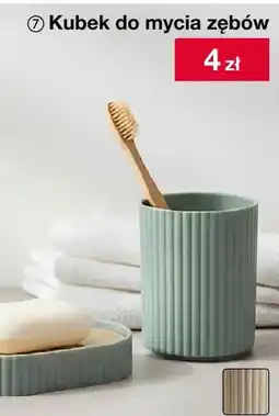 Woolworth Kubek oferta