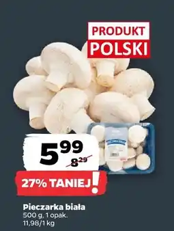 Netto Pieczarka biała 1 opak oferta