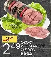 Ozory w galarecie