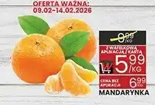 Wafelek Mandarynka oferta