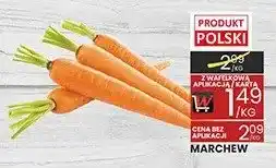 Wafelek Marchew oferta