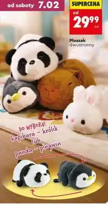 Biedronka Pluszak dwustronny oferta