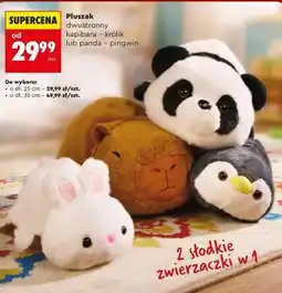 Biedronka Pluszak oferta