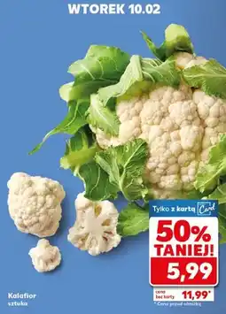 Kaufland Kalafior sztuka oferta