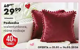 Biedronka Poduszka oferta