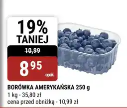 bi1 Borówka amerykańska oferta