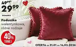 Biedronka Poduszka walentynkowa, różne rodzaje oferta