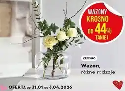 Biedronka Wazon, różne rodzaje (Krosno) oferta
